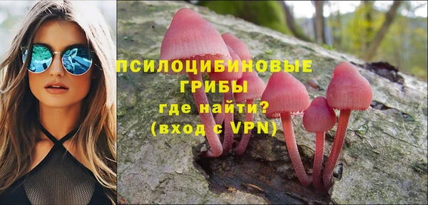 МДПВ Аркадак