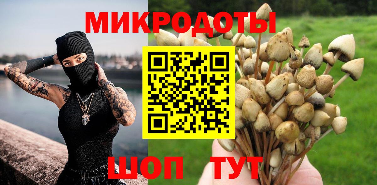 Псилоцибиновые грибы Cubensis  Вход с VPN  Псилоцибиновые грибы Magic Shrooms  Светлоград 